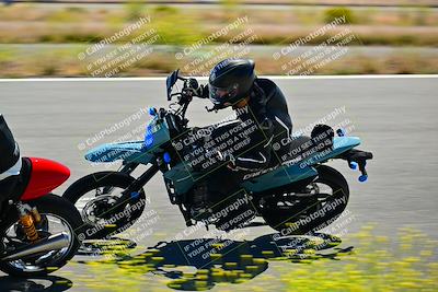 media/May-10-2024-2WTD (Fri) [[c88d7990af]]/Group B/Session 2-The Bowl/